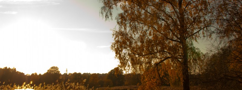 20111026-IMG_2220