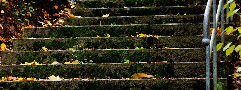 20111028-IMG_2261