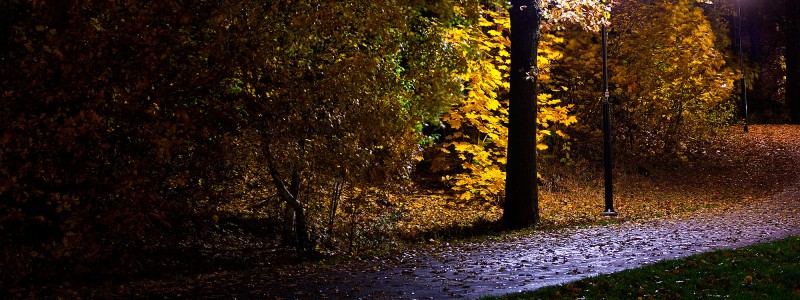 20111029-IMG_2308