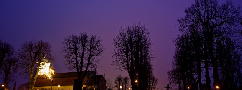 20111105-IMG_2447